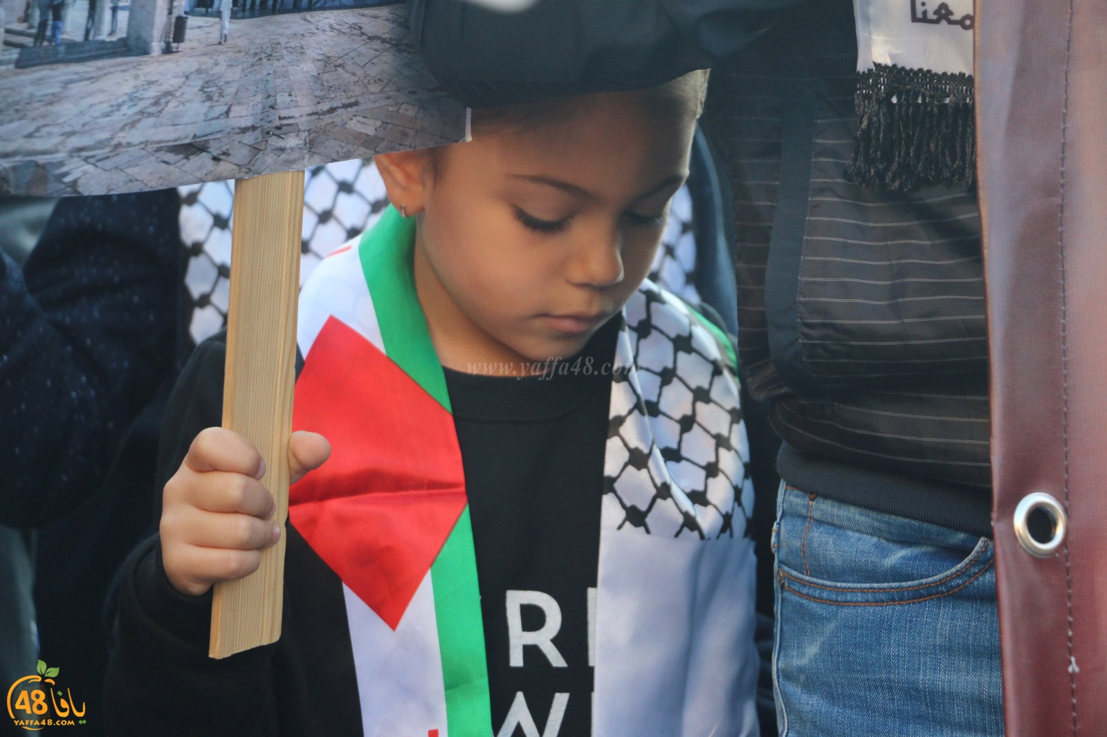 yaffa modahara jeq (55).jpg